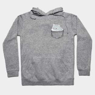 British Shorthair in a pocket Hoodie